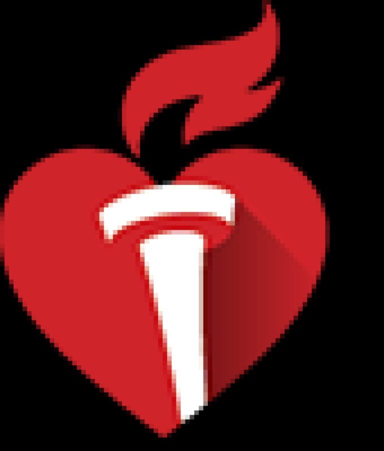 International Stroke Conference